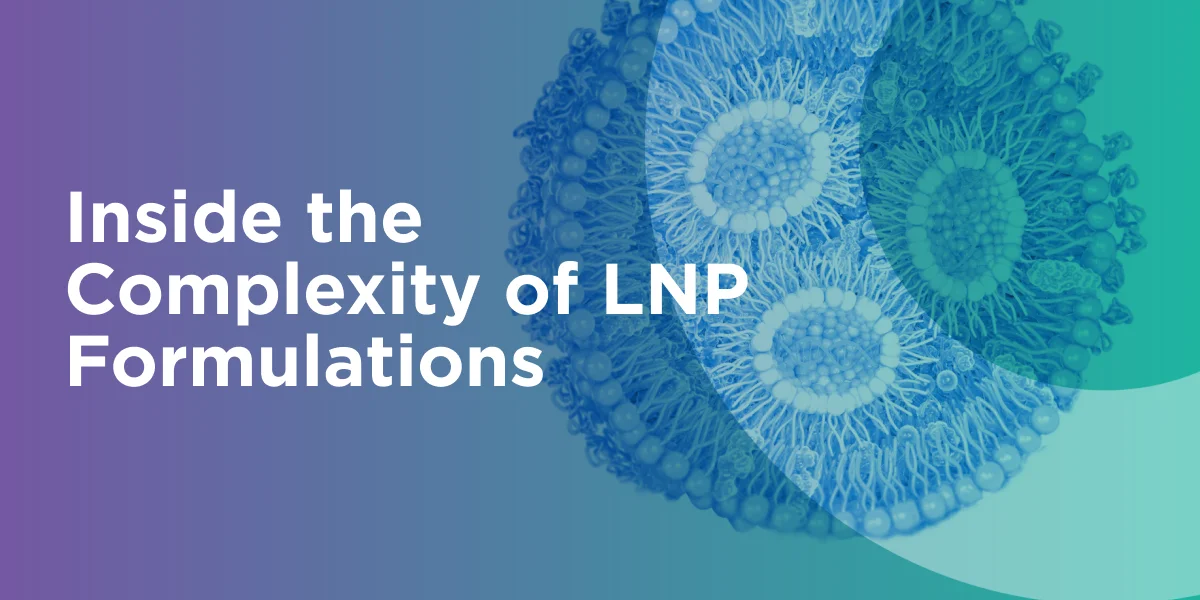 Inside the Complexity of LNP Formulation