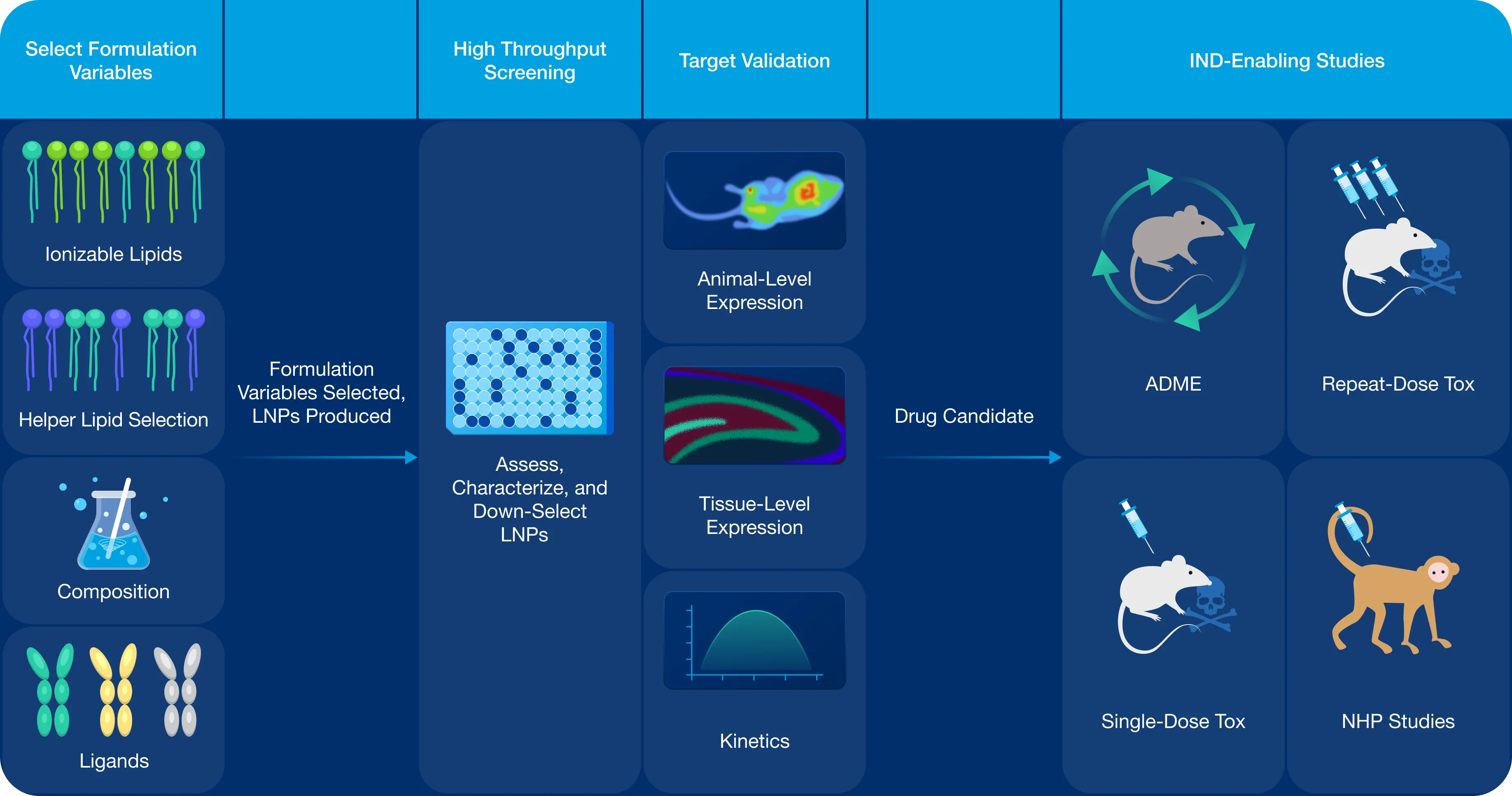 Licensable LNP Development Solutions diagram showing the four phases: Select Formulation Variables, High Throughput Screening, Target Validation, and IND-Enabling Studies