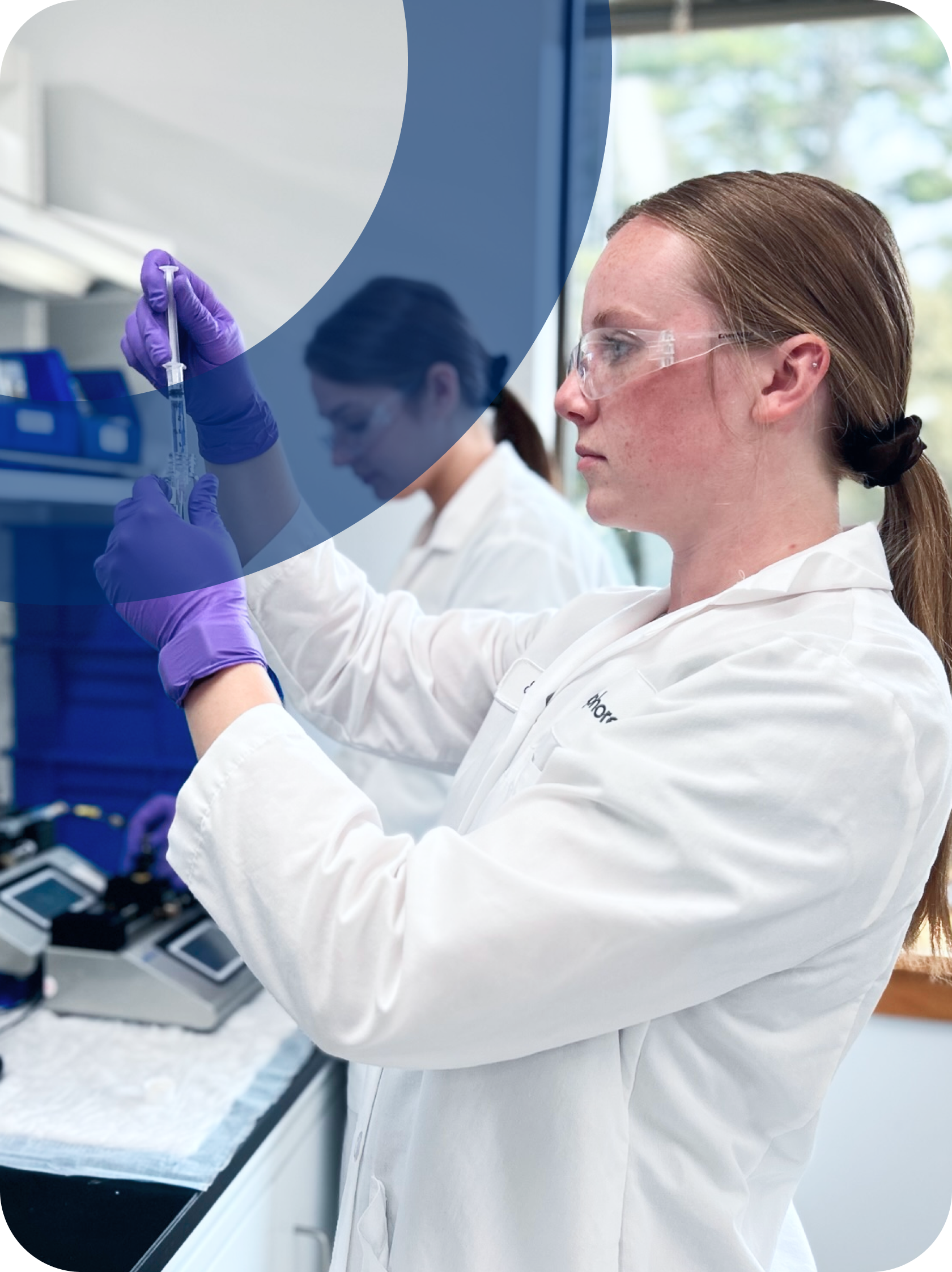 Licenseable LNP Development Services