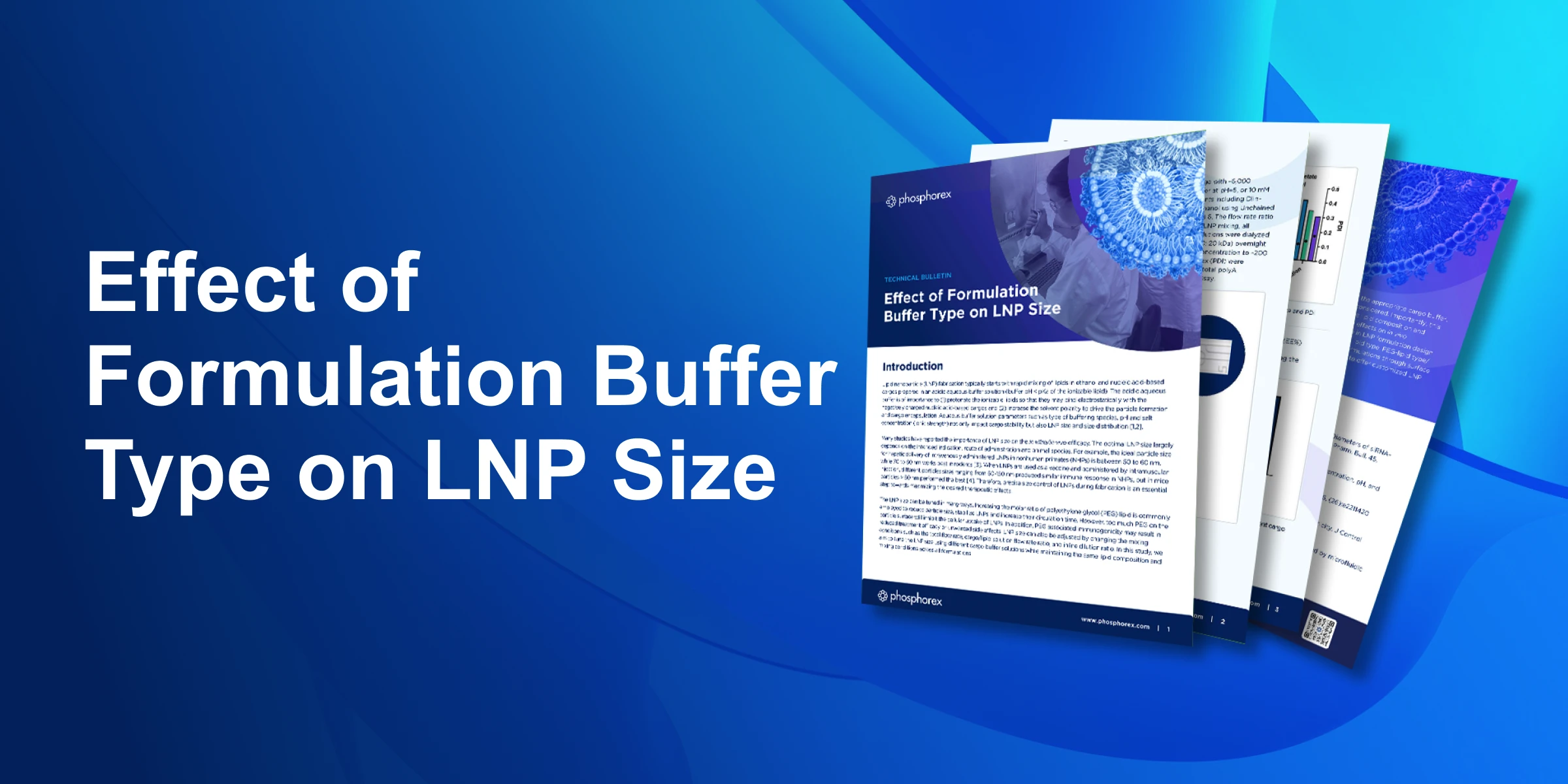 Effect of Formulation Buffer Type on LNP Size