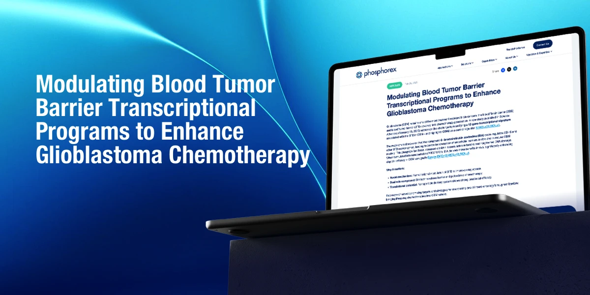 Modulating Blood Tumor Barrier Transcriptional Programs to Enhance Glioblastoma Chemotherapy